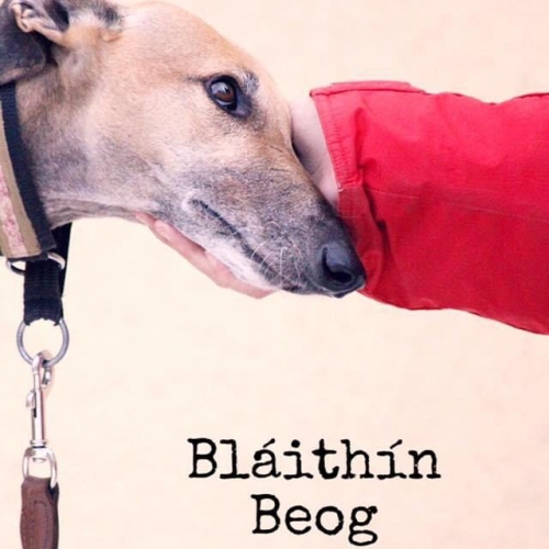 Berta (Rufname Bláithín Beog)