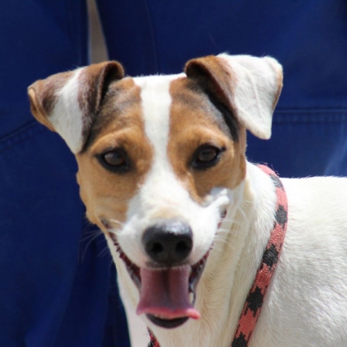 EVITA (Rufname Cilli)