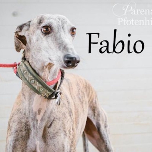 FABIO
